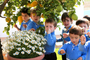 Aire libre infantil