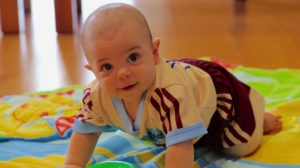 Baby Garden superior