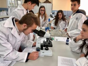 Laboratorio bachillerato